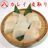 【骨無し カレイ かれい 皮無し 切身 70g 10切入】ファストフィッシュ 鰈 カラスガレイ スキンレス 骨取…
