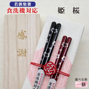 yPz  1V  ˔  bZ[W ዷh ׂ~ H@Ή Mtg aj hV̓ ̓ ̓ җ Ď LOi  NlR䂤pPbg