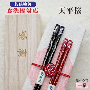 yVz  1V  ˔  bZ[W ዷh ׂ~ H@Ή Mtg aj hV̓ ̓ ̓ җ Ď LOi  NlR䂤pPbg