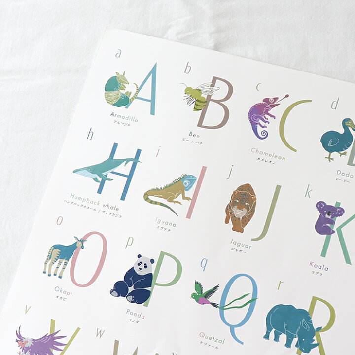 楽天市場】 お風呂 知育 ポスター【ANIMAL】 アルファベット英字 お風呂ポスター A3 29×42(cm) 剥がせる 教材 バスタイム 動物 オリジナル イラスト ※メール便対応商品(ポスト投函)ds : Hash kuDe 楽天市場】 お風呂 知育 ポスター【ANIMAL】 アルファベット英字 お風呂ポスター A3 29×42(cm) 剥がせる 教材 バスタイム 動物 オリジナル イラスト ※メール便対応商品(ポスト投函)ds : Hash kuDe