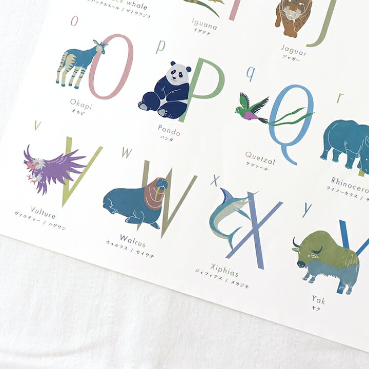 楽天市場】 お風呂 知育 ポスター【ANIMAL】 アルファベット英字 お風呂ポスター A3 29×42(cm) 剥がせる 教材 バスタイム 動物 オリジナル イラスト ※メール便対応商品(ポスト投函)ds : Hash kuDe 楽天市場】 お風呂 知育 ポスター【ANIMAL】 アルファベット英字 お風呂ポスター A3 29×42(cm) 剥がせる 教材 バスタイム 動物 オリジナル イラスト ※メール便対応商品(ポスト投函)ds : Hash kuDe