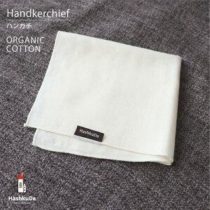 xr[ K[[ nJ` I[KjbNRbg 32×32cm [֑Ήi(|XgjGH