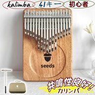 カリンバ 41音 24音 初心者セット 親指ピアノ サムピアノ 楽譜 教本 入門書 ケース 指サック チューニン…