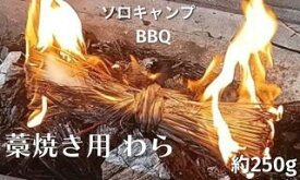 藁焼き用 藁 カット束ね藁 約250g 使い切りソロキャンプ BBQ キャンプ バーベキューお花見 アウトドア 少人数用 家庭用ワラ焼き わら焼き 燻製 スモーク キャンプ用品焼き魚 焼き物 燻り焼き 芳香 香り付け初鰹 戻り鰹藁焼き ちくわ藁焼き送料無料