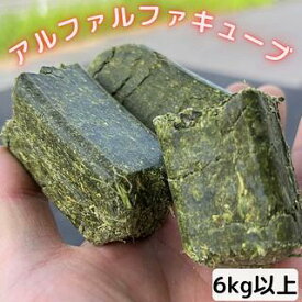 アルファルファキューブ／ルーサンキューブ 6kg以上 ウサギ モルモット ハムスター チンチラ デグー 小動物用食事 おやつアルファルファ ヘイキューブ 牧草 乾牧草牧草の女王 ヤギ リス 豚 馬 牛送料無料