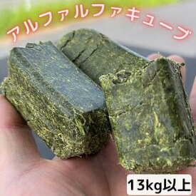 アルファルファキューブ／ヘイキューブ 13kg以上ヤギ うさぎ モルモット ハムスター チンチラ デグー 豚 馬 牛 ヤギの餌 家畜 飼料 販売 小動物用食事 おやつ アルファルファ ルーサンキューブ 牧草 乾牧草 畜産用品 牧草の女王 まとめ買い 送料無料