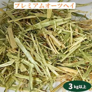 v~AI[cwC 3kgȏ Ɩp I[XgAY p bg nX^[ fO[ `` M   n pH