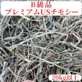 B級品プレミアムUSチモシー 20kg以上 特価品業務用 うさぎ チモシー 1番刈り 20kg 20キロ ダブルプレス 飼料用 モルモット ハムスター デグー チンチラ 馬 牛 ヤギ 豚 小動物用食事 敷材等 お得用サイズ ペット 多頭飼い 業者様向け 牧草 送料無料