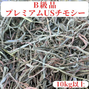 Biv~AUS`V[ 10kgȏ iƖp  `V[ 1Ԋ 10kg 10L _uvX p bg nX^[ fO[ `` n  M  pH ~ޓ p