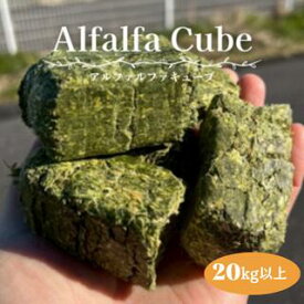 アルファルファキューブ／ヘイキューブ 20kg以上（10kg x 2袋）馬 牛 豚 ヤギ うさぎ モルモット ハムスター チンチラ デグー 小動物用 飼料 小動物 食事 おやつ 餌 ごはん アルファルファ ルーサンキューブ 牧草 キューブ 多頭飼い 大容量 まとめ買い 送料無料