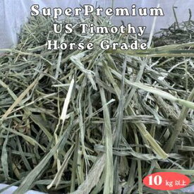 スーパープレミアムUSチモシー 10kg以上 ダブルプレス うさぎ チモシー 1番刈り 10kg 大容量 業務用 多頭飼い ホースグレード ブリーダー 送料無料 モルモット チンチラ デグー ハムスター 小動物 高品質 アメリカ産 圧縮牧草 繊維質豊富 栄養価高い 香り豊か 10キロ