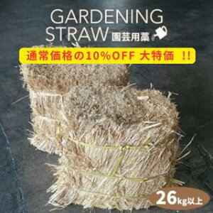 yňlz |p m 26kgȏ n[tJbgm i10`16kgm2Zbgj_ Ă ƒ؉ ؍͔| K[fjO }`O G } 엿 G΍ ~m }`V[g 