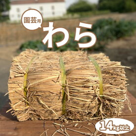 【最安値挑戦 !】 園芸用 藁 14kg以上 ハーフカット藁 敷きわら 農業 畑 造園家庭菜園 野菜栽培 ガーデニング マルチング 保温 防寒 植物 カボチャ 農業資材 越冬 冬越し 雑草対策 肥料 苺 敷藁 いちご栽培 マルチシート 防草 敷き藁 稲わら カット藁 わら ワラ 送料無料