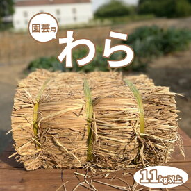 【最安値挑戦 !】 園芸用 藁 11kg以上ハーフカット藁 農業 畑 造園 敷きわら 家庭菜園 野菜栽培 雑草対策 ガーデニング マルチング いちご 敷き藁 保温効果 防寒対策 肥料 堆肥 泥跳ね防止 敷藁 稲わら カット藁 わら ワラ 雑草シート ガーデニング用品 送料無料