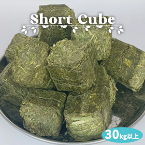 V[gL[u30kgȏi15kg x 2܁j i At@t@V[gL[un   M  bg nX^[ `` fO[ p  ƒ{ H  L[u A