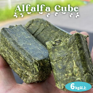 �A���t�@���t�@�L���[�u�^�w�C�L���[�u 6kg�ȏ�E�T�M �������b�g �n���X�^�[ �`���`�� �f�O�[ ���M ���X �� �n �� ���r�b�g�t�[�h �������p�H�� ����� �y�b�g���� �y�b�g���� �y�b�g�t�[�h