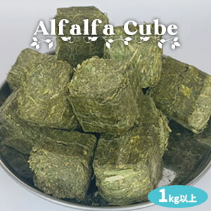 At@t@L[u^wCL[u 1kgȏ 500gx2ܓ肤  GT a t[h q ETM bg nX^[ `` fO[ At@t@ ETMa At@t@q 