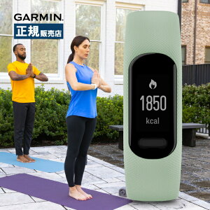 Garmin K[~ vivosmart 5 BHX}[g 010-02645-62 ANeBreBgbJ[ Y fB[X NǗ  S _f j^O ʒm@\ ~g S/MTCY