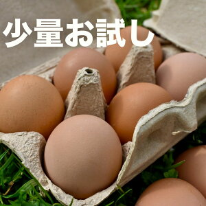 �����ʂ��������@�����_��̕��������܂��@6���@���������@���`�q�g�݊����@���Ɣz���@���܂��@�������@���@�����Y�{�@���݂��̕��������@���s���O�g