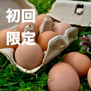 �y�����������z�@�����_��̕��������܂�24����@���`�q�g�݊��������@���ƃu�����h�����@�ᖧ�x�@�������@���s