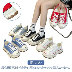 Xj[J[ fB[X  [Jbg 5cmUP Xj[J[ C tbgV[Y JWA LoXV[Y WjA RtH[g X|[cV[Y Xj[J[C  Ȃ  