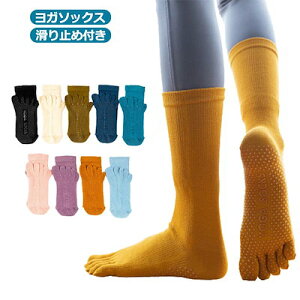 K\bNX ܖ{w\bNX fB[X nCJbg ~ K \bNX O nC\bNX C KEFA zbg K C ܖ{wC 悪   lC 