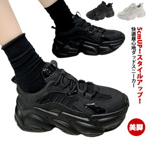 Xj[J[ _bh Xj[J[ fB[X  Xj[J[ JWAV[Y EH[LOV[Y C V[Y   q[5cm gAbv r IV ₷ ɂ 