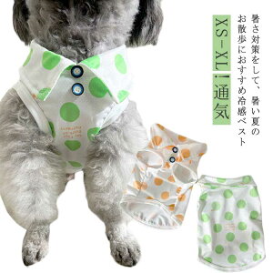 z p ybg ̉ N[xXg ₷ ⊴ ɔG炵   ₦ h  ĕ ybgp bV ^ ^ Ђ ڐG⊴  ybg MǑ΍ XS`