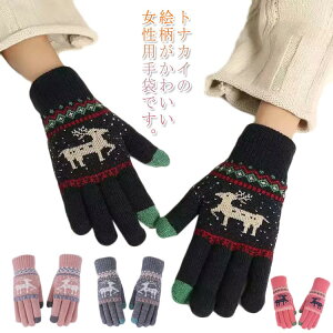 fB[X  w N WjA JWA q X}z ʊw  ̎q g ۉ ] h  t[TCY NX}X fB[X H v[g