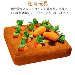 ybgp mߋ ɂ񂶂 s΍ XgX W͌ koP ^s H΍ ~ 