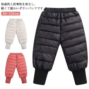 ̎q AEghAp xr[ _Epc LbY Y{ xr[ Opc ȃpc {gX gpc ȓ hpc j̎q L[Y pc _E XL[   h