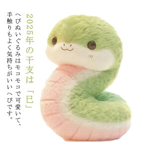 x  xu ւтʂ 25cm x ʂ q   x  ʂ ւ Mtg  VN X N 킢 LbY a v[g N o