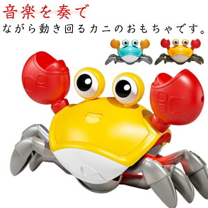 Jj ĕ y  ̎q U yJj mߋ eb\[ dr  c qǂ Jj IɏQ C^NeBuȊwKƊJ