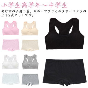 V[c WjA n Zbg Ci[ mC[ uW[ Jbvt w ̎q qp X|[cu  A_[EFA {NT[pc w WjAuW[