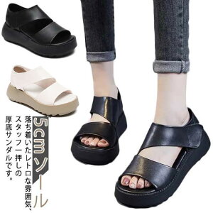 T_ fB[X ₷  T_ 5cm\[ Od rT_ RtH[gT_ b L K ɂ JWAV[Y EH[LOV[Y gAb