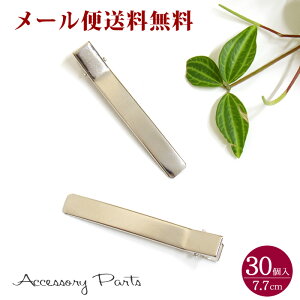 y[֑z mPA105]@30@ANZT[p[c@wANbv@Vo[@7.7cm@fށ@ޗ@nhCh@p[c@i @Vo[