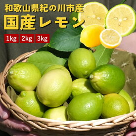 クール便配送【送料無料】紀の川市産　ハウス栽培　国産レモン　1kg 2kg 3kg　ノーワックス　リスボンレモン　国産　和歌山県産　グリーンレモン　イエローレモン　果物　不揃い