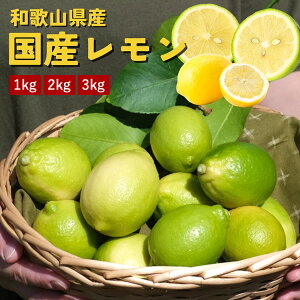 yz@Y@1kg 2kg 3kg@m[bNX@X{@}C[@̍@Y@a̎RY@O[@CG[@ʕ@s