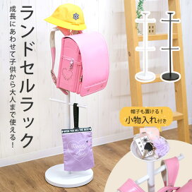 楽天市場】【メール便送料無料】衣類収納袋 │季節の変わり目の衣類の 