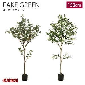 yVizyzFBM-49@tFCNO[@[J@I[u@150cm@WCg@ϗtA@ԁ@CeA@ lHϗtA@^@JtF@ց@rO@@Vz@