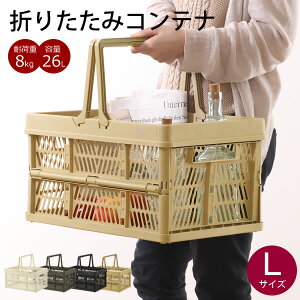 yVizFBM43@܂肽݃Rei@L@e26L@ςݏdˉ\@X^bLO XgbN{bNX@ᔠ [{bNX [BOX@AEghA@h[{bNX@~^[eCX