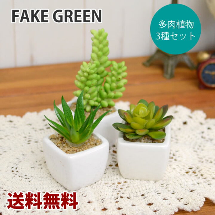 楽天市場 送料無料 フェイクグリーン 多肉植物 3個セット フェイクグリーン ちょっとしたアクセントにフェイクグリーン ミニ 観葉植物 造花 インテリア フェイクグリーン フェイクグリーン フェイクグリーン Hat Shop