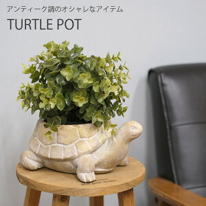 yVizCN20@V^^[g@T@J@@Jo[@v^[@K[fjO@@A@AeB[N