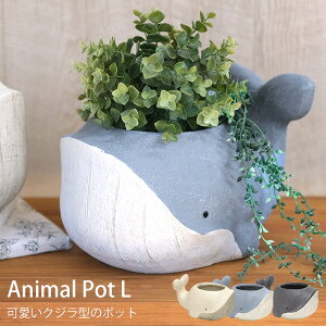 yzCN29@Aj}|bgNW@25@L@@@Aؔ@Jo[@v^[@K[fjO@@A@AeB[N