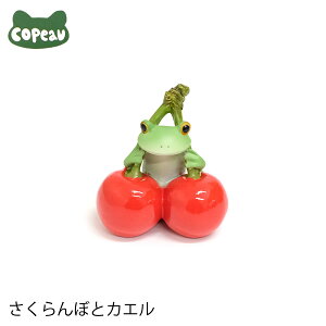 yVizDK166@Copeau@R|[@ڂƃJG@JG@^@tbO@u@@IuWF@CeA@G݁@킢@@Mtg@v[g