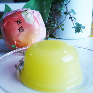 送料無料 すりおろし林檎ゼリー9個入り ご自宅用 フルーツゼリー お試し りんご 手土産 スイーツ お菓子 洋菓子 和菓子 和スイーツ 日持ち 常温保存 ハロウィン バレンタインデー ホワイト