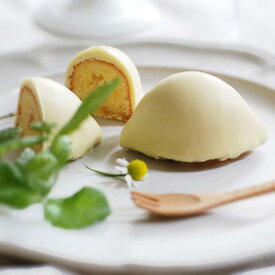 ほんきのレモンケーキ 【3～16個入】｜ レモンケーキ レモン 檸檬 ケーキ レモンスイーツ お取り寄せ レモンのお菓子 レモンチョコレート 美味しい 季節限定 期間限定 個包装 お返し プレゼント ギフト 贈り物 誕生日お菓子ギフト 洋菓子 ハタダ 畑田本舗 四国 愛媛