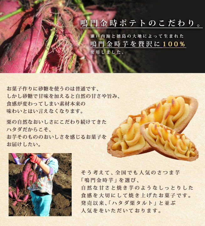 鳴門金時ポテト【16個入】芋 タルト 個包装 御礼 お返し プレゼント ギフト 贈り物 お中元 御中元 洋菓子 おやつ ハタダ 畑田 畑田本舗 四国 愛媛 ハタダ栗タルト 一切れハタダ栗タルト小豆 こし餡 ゆず餡 栗 タルト 和風ロール 個包装 御礼 御供 お供え お返し プレゼント お中元 御中元 ギフト 贈り物 和菓子 おやつ ハタダ 畑田 畑田本舗 四国 愛媛