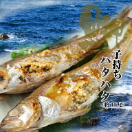 子持ち はたはた 冷凍品 ハタハタ 秋田 しょっつる鍋 お取り寄せグルメ ブリコ ぶりこ メス　800グラム沖…