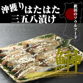 はたはた三五八漬 ハタハタ お取り寄せグルメ 鈴木水産 クール冷凍